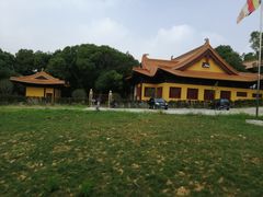 -太子山公园(园东路)