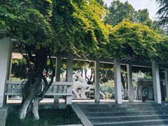 -环城公园-琥珀潭