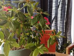 -渔家灯火(领秀城店)