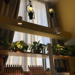 -1T·1M 日式美甲美睫