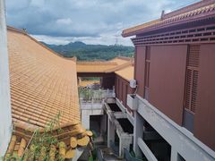 -深圳仙湖植物园