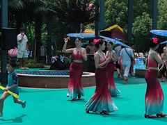 -苏州乐园森林水世界