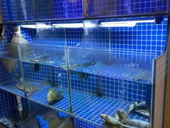 -陆记鹅庄·潮汕菜·狮头鹅(大仟里店)