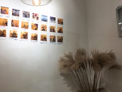 -白日梦奶茶