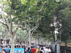 -上海市世外小学