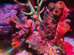 -沈阳海洋探索中心