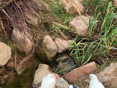 -黄龙溪欢乐田园