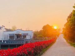 -帐篷客·溪龙茶谷度假酒店