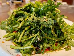 凉拌茼蒿-正宗流钟锅子饼家常菜