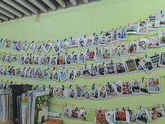 -学知乐教育·幼小衔接·小学科辅导(嘉定镇校区)