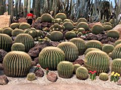 -南通洲际绿博园