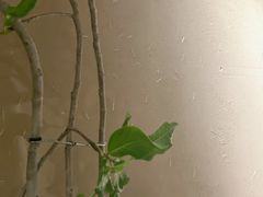 -Carmen卡门西班牙餐厅