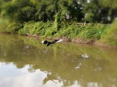 -大湾区中央湿地公园