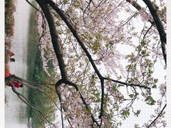 -新江湾城公园