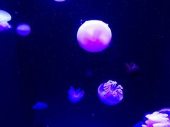 -成都浩海立方海洋公园