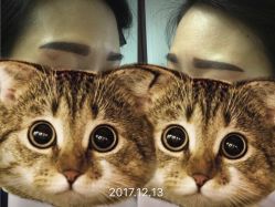 -雕龍堂纹身穿孔洗纹身培训