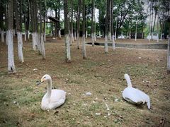 -艾溪湖湿地公园