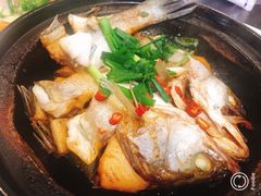 生焖鲈鱼-喜洲翰林餐厅(董家百年老宅店)
