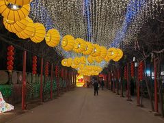 -河北村民俗体验园