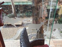 -麒麟中餐厅·经典粤菜·地道菜式老字号(广州长隆酒店)