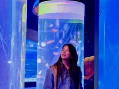 -顺德南宏海立方海洋公园