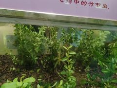 -上海昆虫博物馆