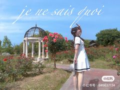-大塘金香草谷