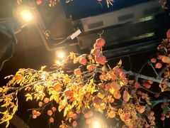 -東大方(武康千秋广场店)