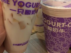 -一只酸奶牛(八一路店)