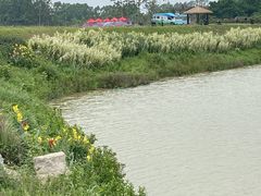 -光明小镇欢乐田园