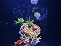 -北海海底世界