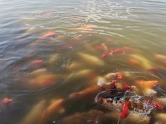 -月牙潭公园