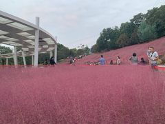 -牛岗山公园