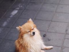 -乌布德传统市场