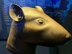 -广西壮族自治区博物馆