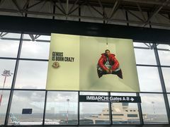 -米兰马尔彭萨国际机场