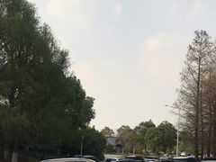 -苏州东太湖生态园