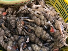 海螺-东河市场