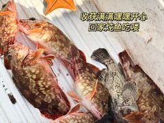 -日照世帆赛基地