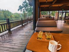 -南湖湿地公园