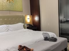 -成都明宇丽雅饭店