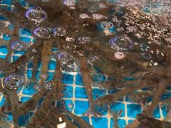 -阳光岛·海鲜盛宴(银泰中心in99店)