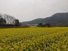-径山花海