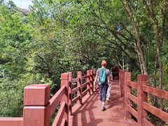 -广州白江湖森林公园