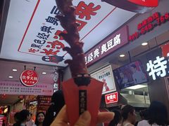 -黑色经典臭豆腐·湖南特产(潇湘文化店)