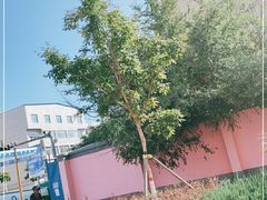 -图们国门景区