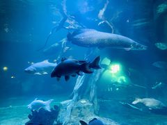 -华夏文旅海洋公园