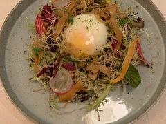 -Oyster Talks 四度蚝法餐厅