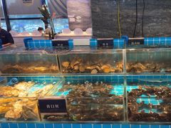 -渔纬港海鲜自助餐厅(湖里万达店)