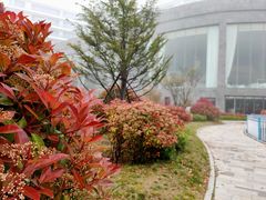 -青岛银沙滩温德姆至尊酒店